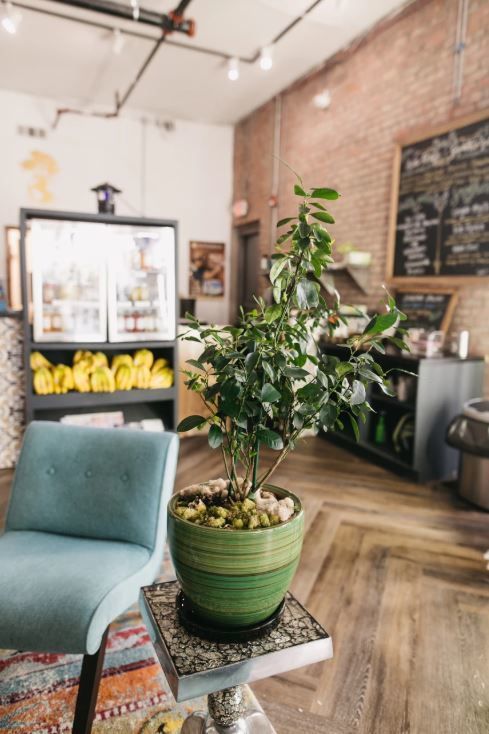 The Seya Building (Retail): 3301 Eastern Avenue, Baltimore, MD 21224